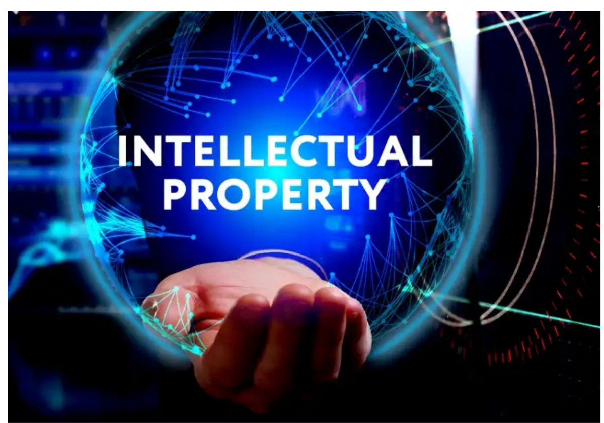 Intellectual Property Rights
